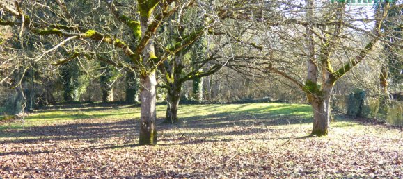 5 bedrooms House in Jussac, France No. 59017 3