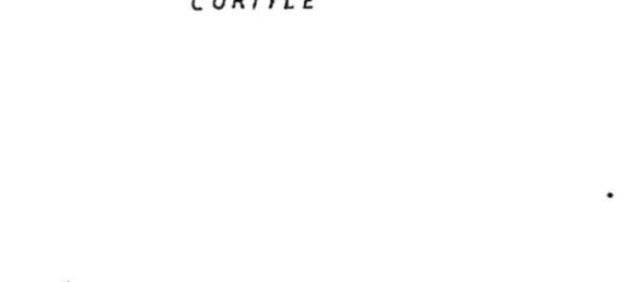 Дом с 5 комнатами в Кьери, Италия № 162711 30