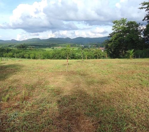 Земельный участок 24000м² в Лей, Таиланд № 68102