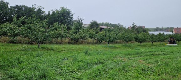 Grundstück in Ebersheim, France 529m², Nr. 42469 3