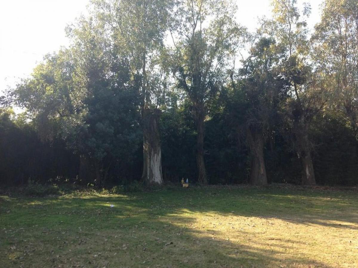  Land in Moreno, Argentina No. 114900