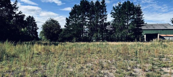  قطعة أرض في Pinneberg, Germany رقم 323099 5