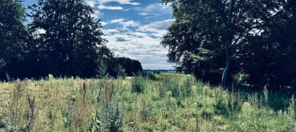  قطعة أرض في Pinneberg, Germany رقم 323099 11