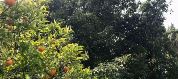 2 Schlafzimmer Haus in Estepona, Spain, Nr. 147368 16