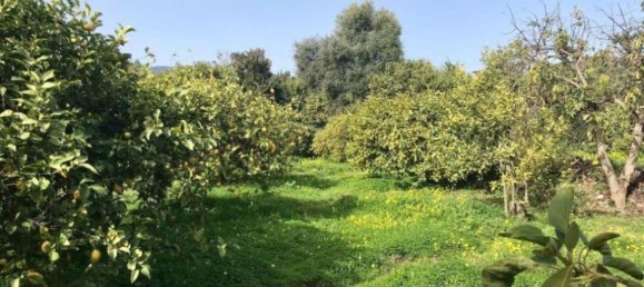 2 Schlafzimmer Haus in Estepona, Spain, Nr. 147368 17