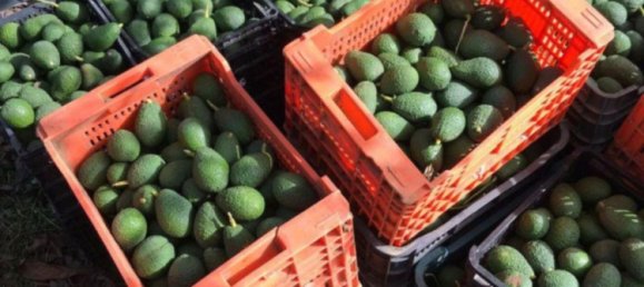 2 Schlafzimmer Haus in Estepona, Spain, Nr. 147368 13