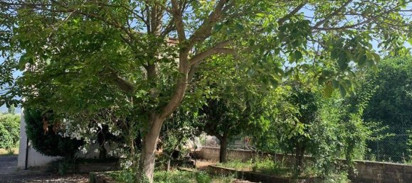 8 rooms Villa in Arpino, Italy No. 153040 11