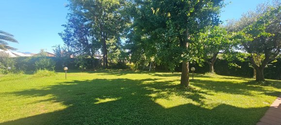 5-salle Maison à Carrara, Italy No. 275382 25