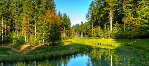 3 Schlafzimmer Haus in Hattigny, France, Nr. 37951 7