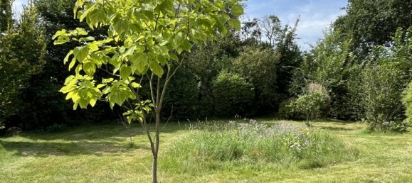 Adosado de 5 habitaciónes en Steinburg, Germany No. 355551 17