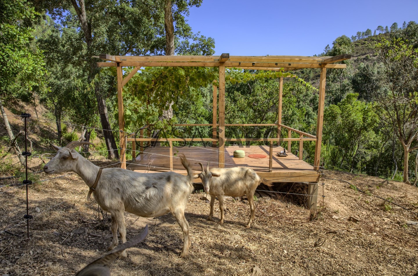 Casa de 3 dormitorios en Monchique, Portugal No. 291205