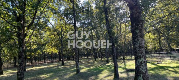 Terrain à Bouloc, France No. 294497 5