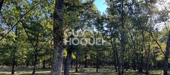 Terrain à Bouloc, France No. 294497 4
