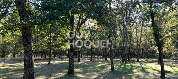 Terrain à Bouloc, France No. 294497 6