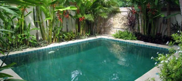 Кафе / ресторан с 2 спальнями в Паттайя, Таиланд № 4024 8