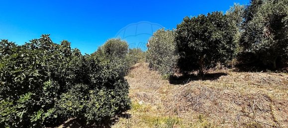 Casa T2 em Tomar, Portugal N.º 28964 16