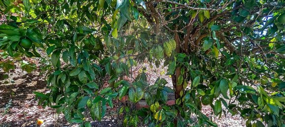 Casa T2 em Tomar, Portugal N.º 28964 15