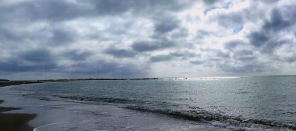 1 chambre Appartement à Benalmadena, Spain No. 21879 9