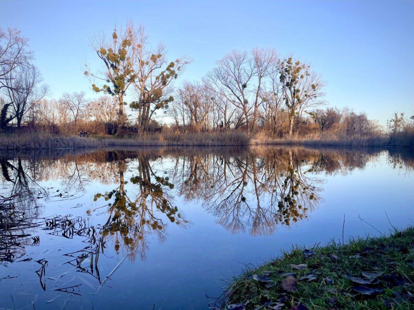 481m² Land in Vienna, Austria No. 163003