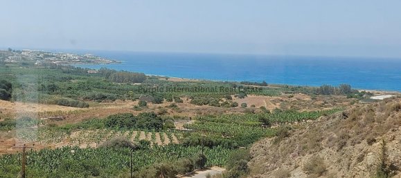 3 bedrooms Villa in Kissonerga, Cyprus No. 946 3