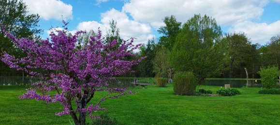 Дом с 4 спальнями в Сель-сюр-Шер, Франция № 70290 2