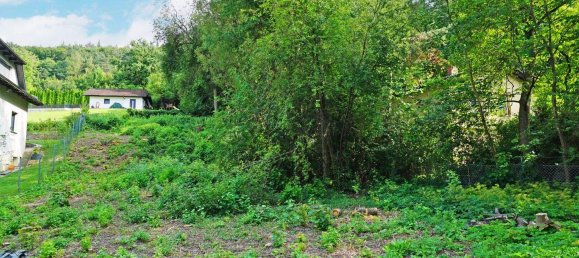  Land in Pressbaum, Austria No. 14149 5