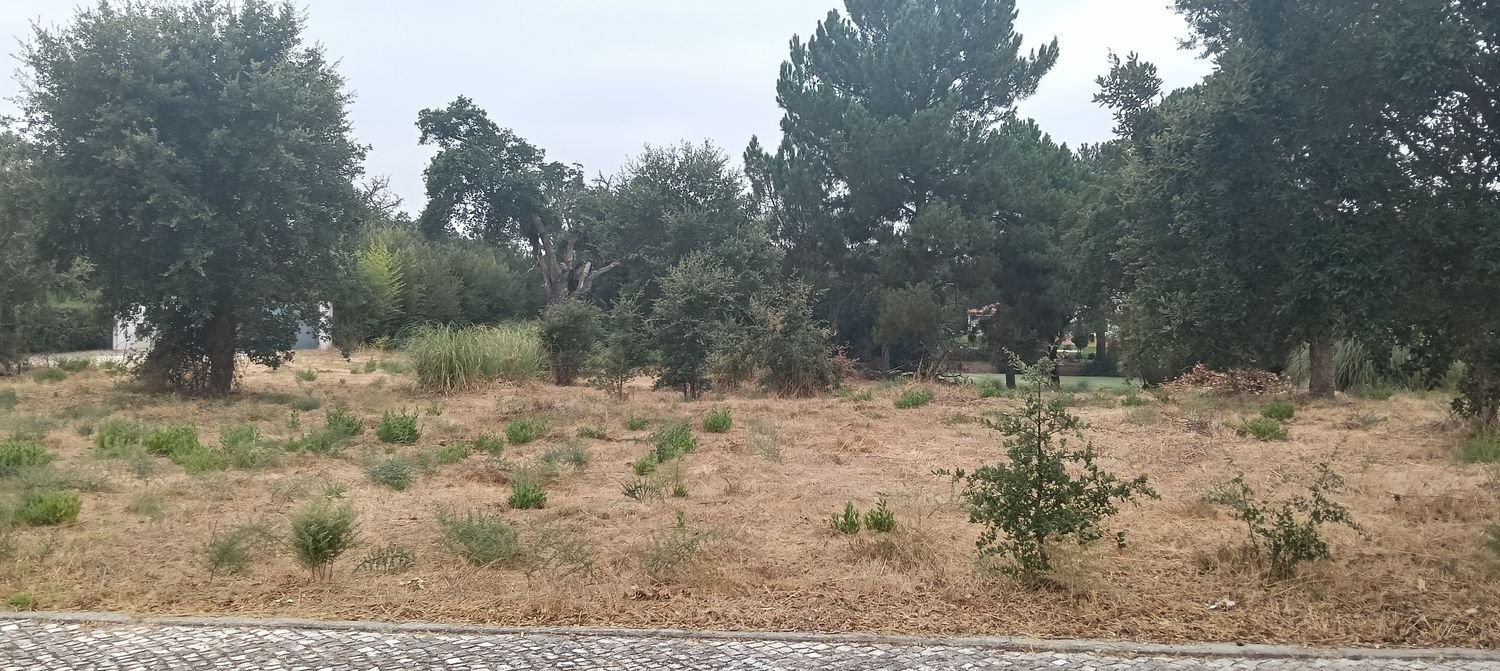  Land in Palmela, Portugal No. 232844