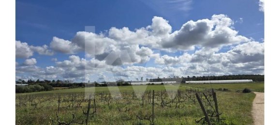 5000m² Land in Odeceixe, Portugal No. 64669 10