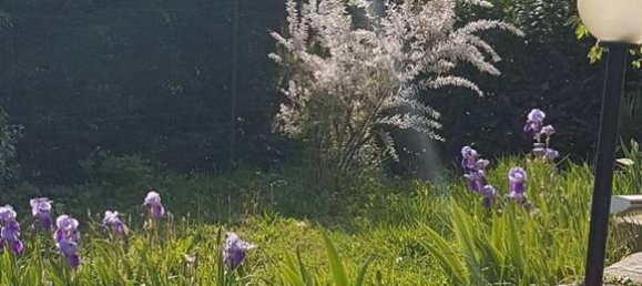 3 bedrooms Villa in Rovereto, Italy No. 229033 16