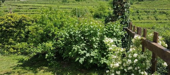 3 bedrooms Villa in Rovereto, Italy No. 229033 21