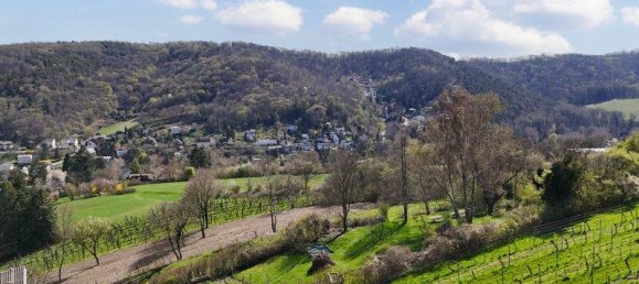 Land in Klosterneuburg, Austria No. 257456 2