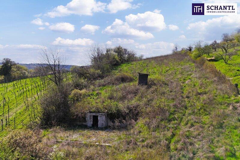  Land in Klosterneuburg, Austria No. 257456