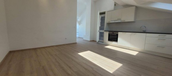 Квартира с 3 комнатами в Альзергрунд, Австрия № 243762 3