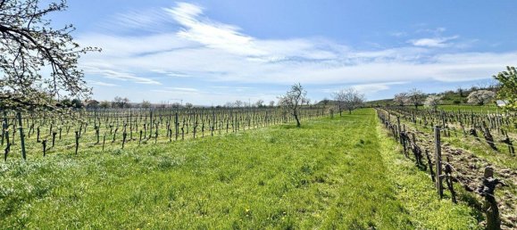  Land in Jois, Austria No. 164774 5