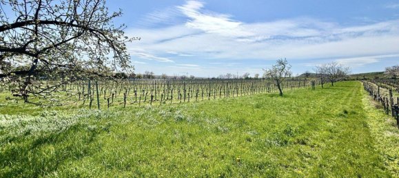  Land in Jois, Austria No. 164774 6