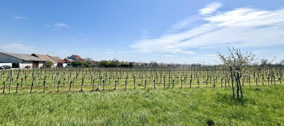  Land in Jois, Austria No. 164774 3