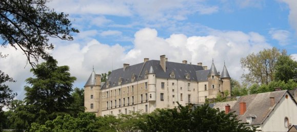 Casa de 7 dormitorios en Chateauneuf-sur-Cher, France No. 57576 20