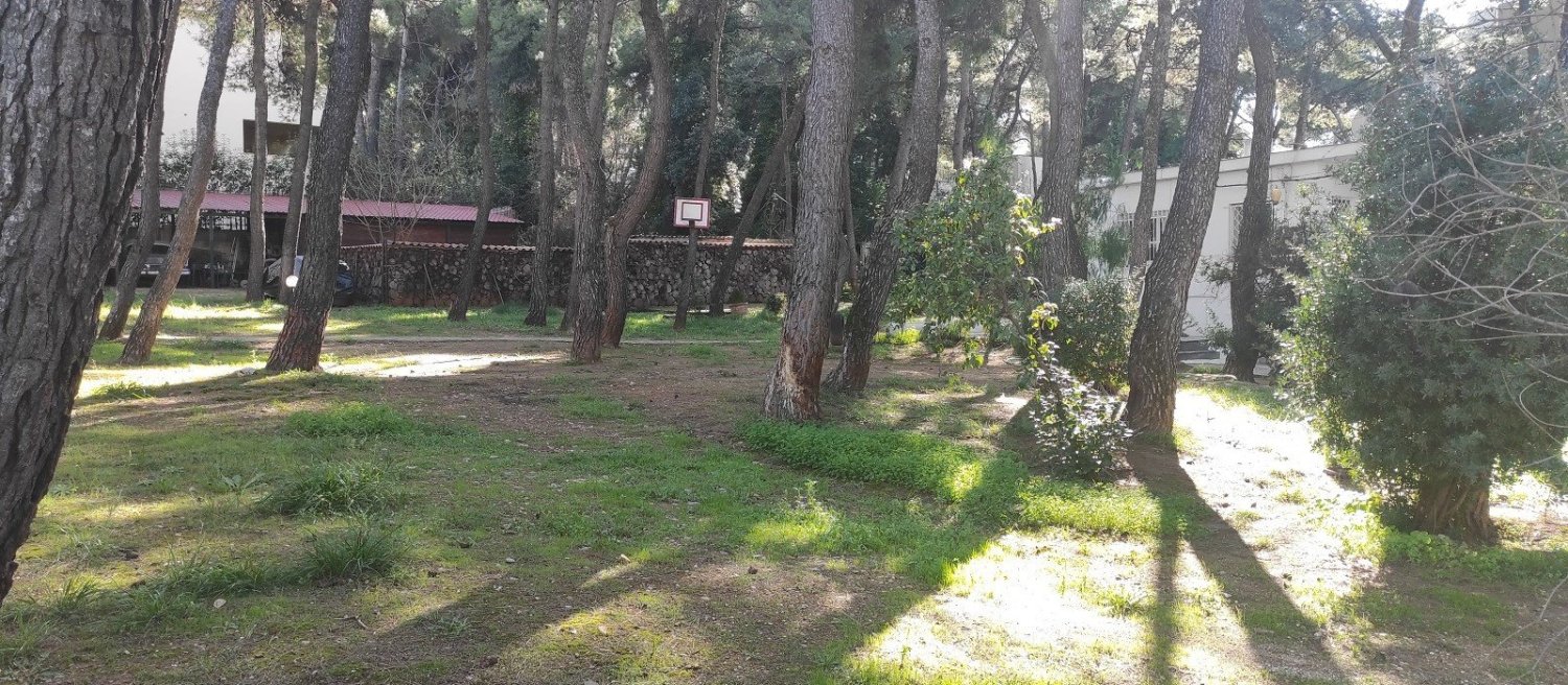  فندق في Drosia, Greece 960متر مربع رقم 4005