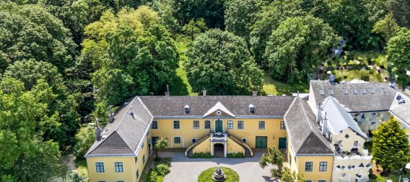 Villa de 15 habitaciónes en Liesing, Austria No. 124119 2