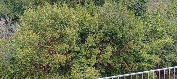 Квартира с 2 спальнями в Рим, Италия № 291398 18