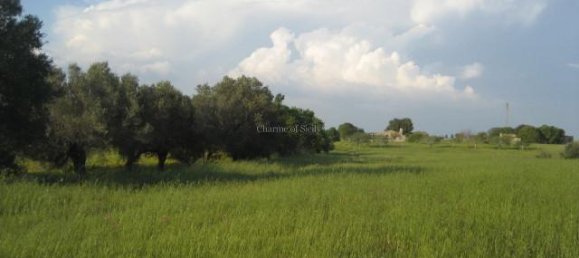 4-Zimmer Haus in Noto, Italy, Nr. 238237 9