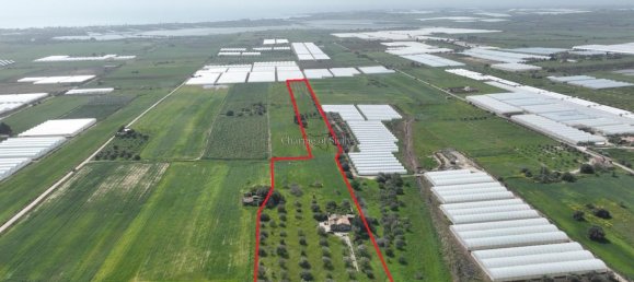 4-Zimmer Haus in Noto, Italy, Nr. 238237 25