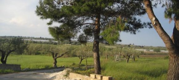 4-Zimmer Haus in Noto, Italy, Nr. 238237 5