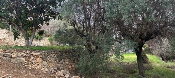 Terreno em Ollioules, France N.º 113509 2