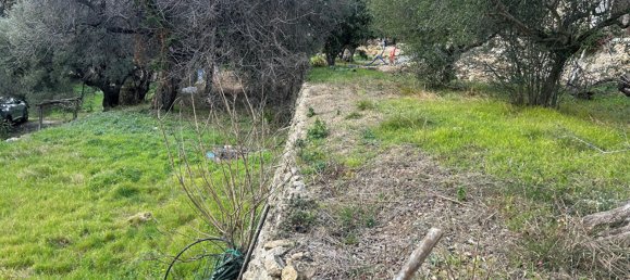 Terreno em Ollioules, France N.º 113509 6