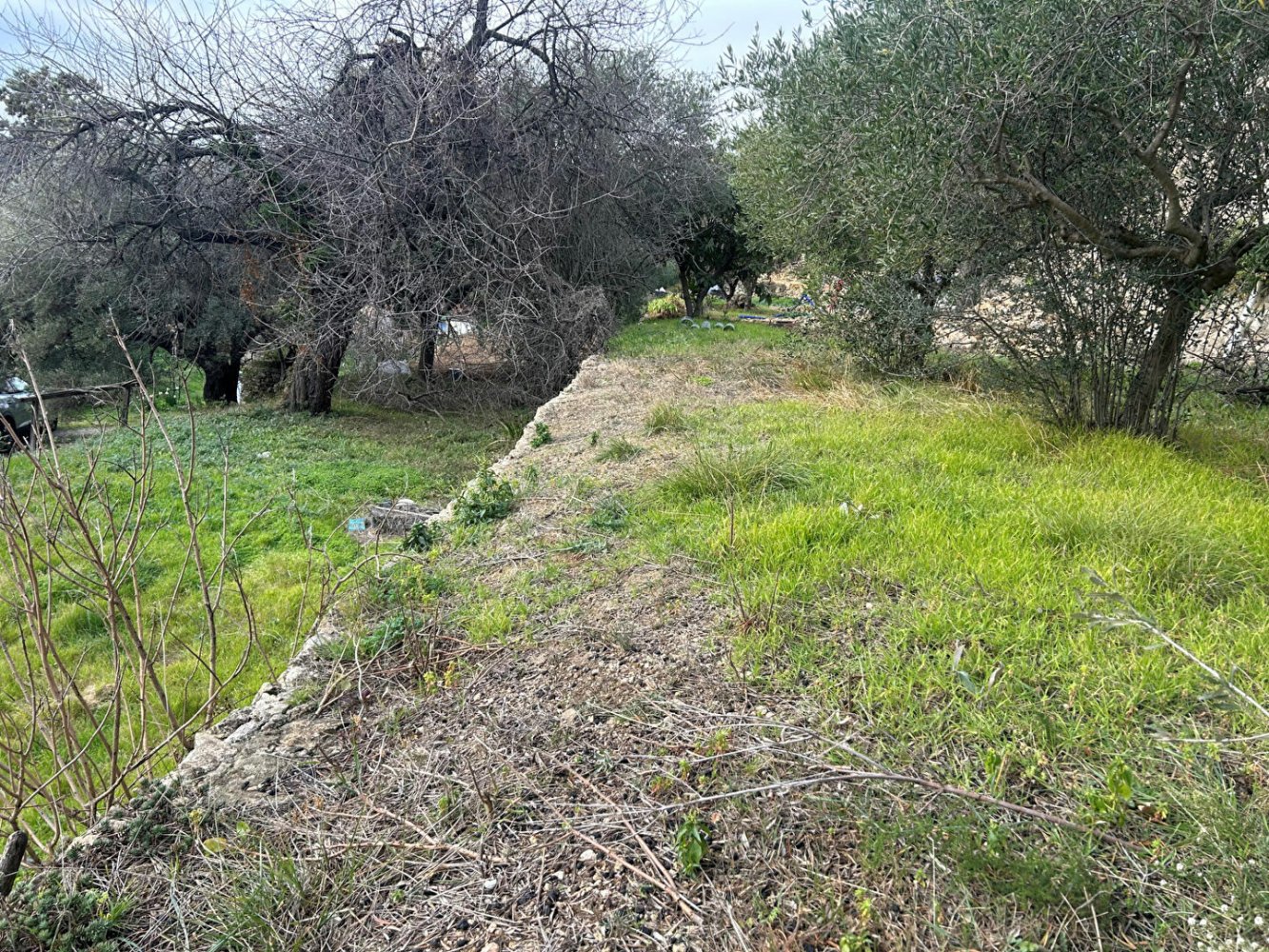 Terreno em Ollioules, France N.º 113509