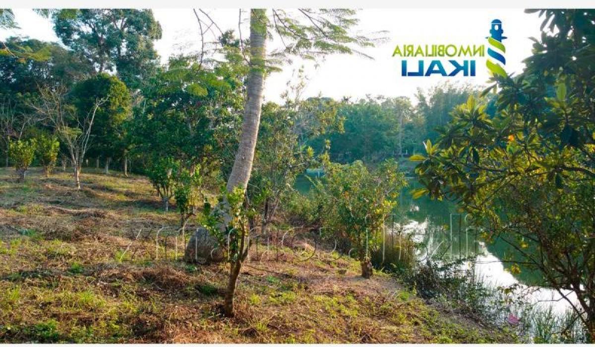 Земельный участок в Веракрус, Мексика № 204193