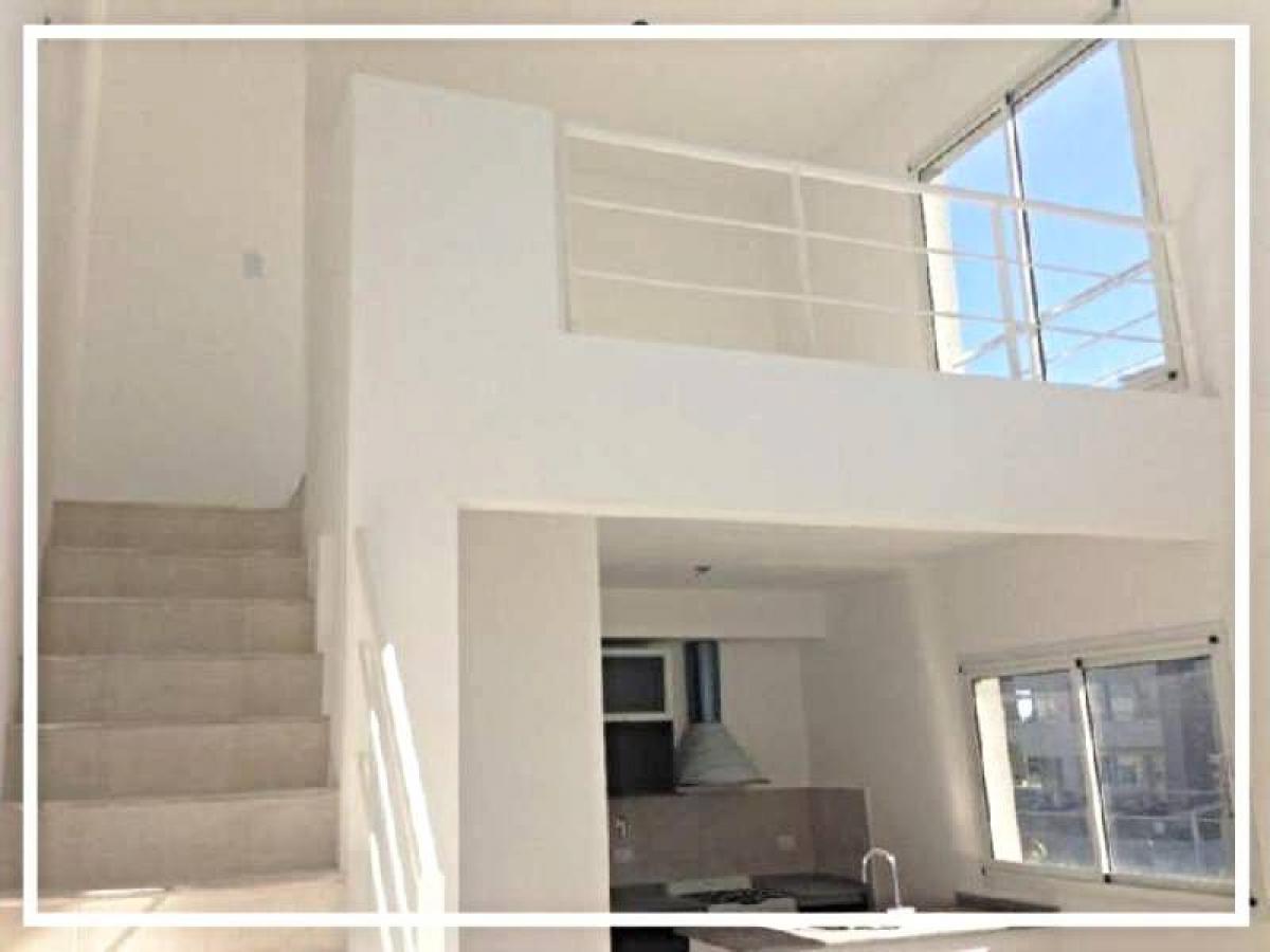 Studio in Tigre, Argentina, Nr. 11436