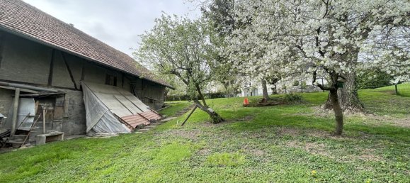 4 chambres Châteaux à Aspach, France No. 67549 15
