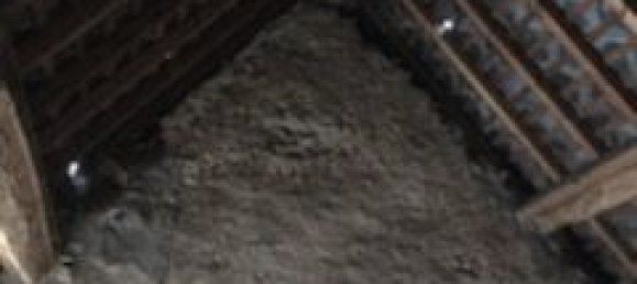 Casa de 9 habitaciónes en Rambouillet, France No. 186197 7